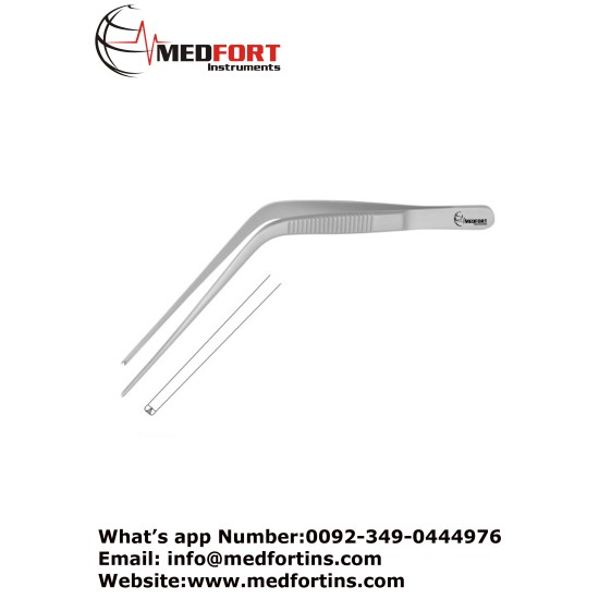 Troeltsch (Wilde) Ear Forcep, 1 x 2 Teeth 11 cm / 4 3/8" 
