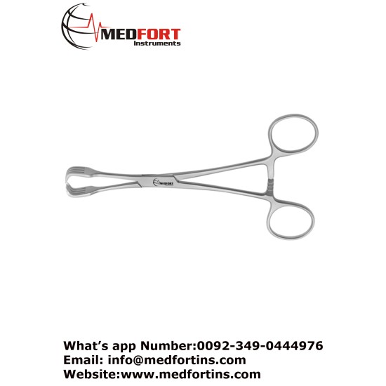 Lahey Goitre Grasping Forcep, 2 x 2 Teeth 15.5 cm - 6"