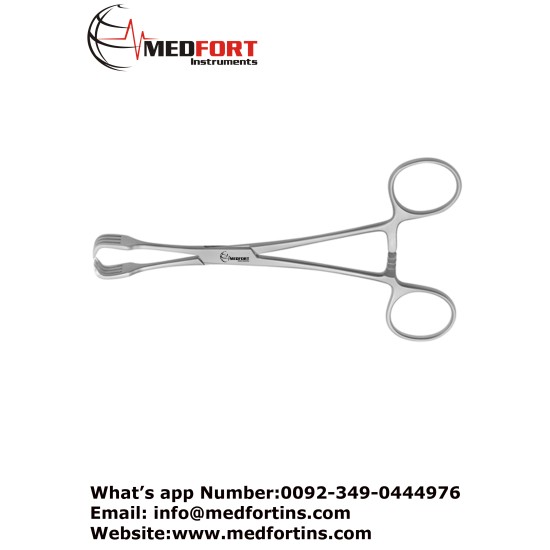  Lahey Goitre Grasping Forcep,  3 x 3 Teeth 15.5 cm - 6"