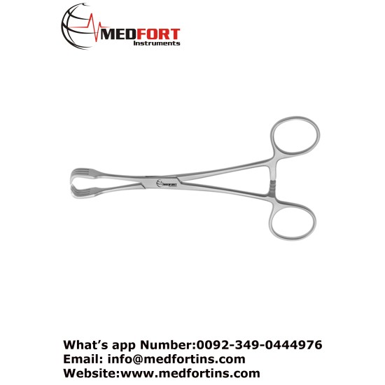 Lahey Goitre Grasping Forcep, 3 x 3 Teeth 20 cm - 8"